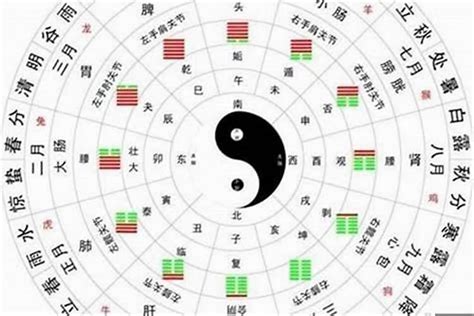 命局|八字命格查询,八字格局免费查询,八字命格详批